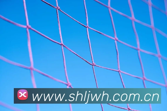 必一运动官网平台发展历程